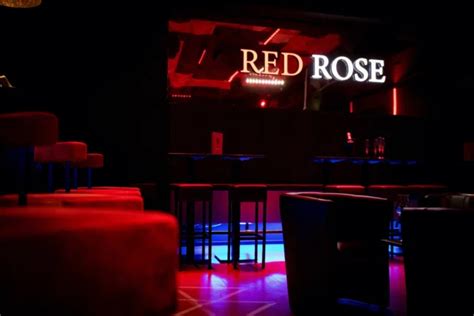 red rose heilbronn|Red Rose (@redrose